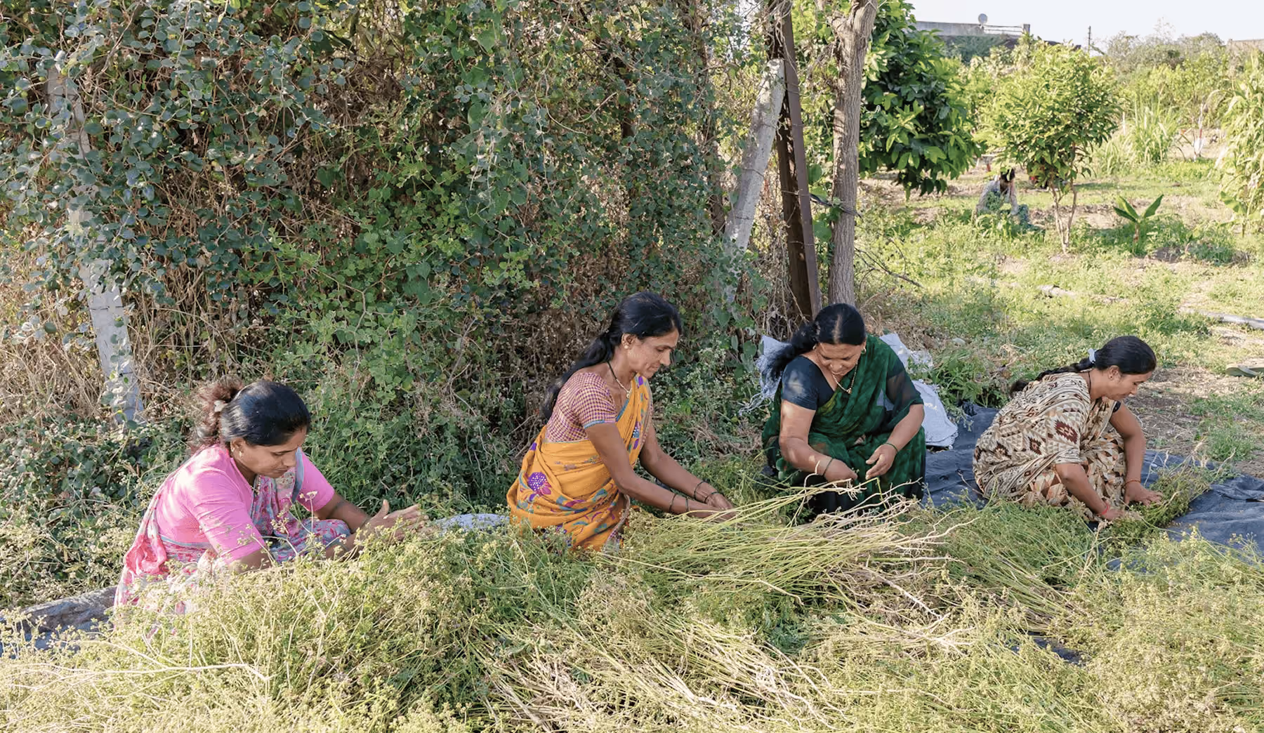 women in grass