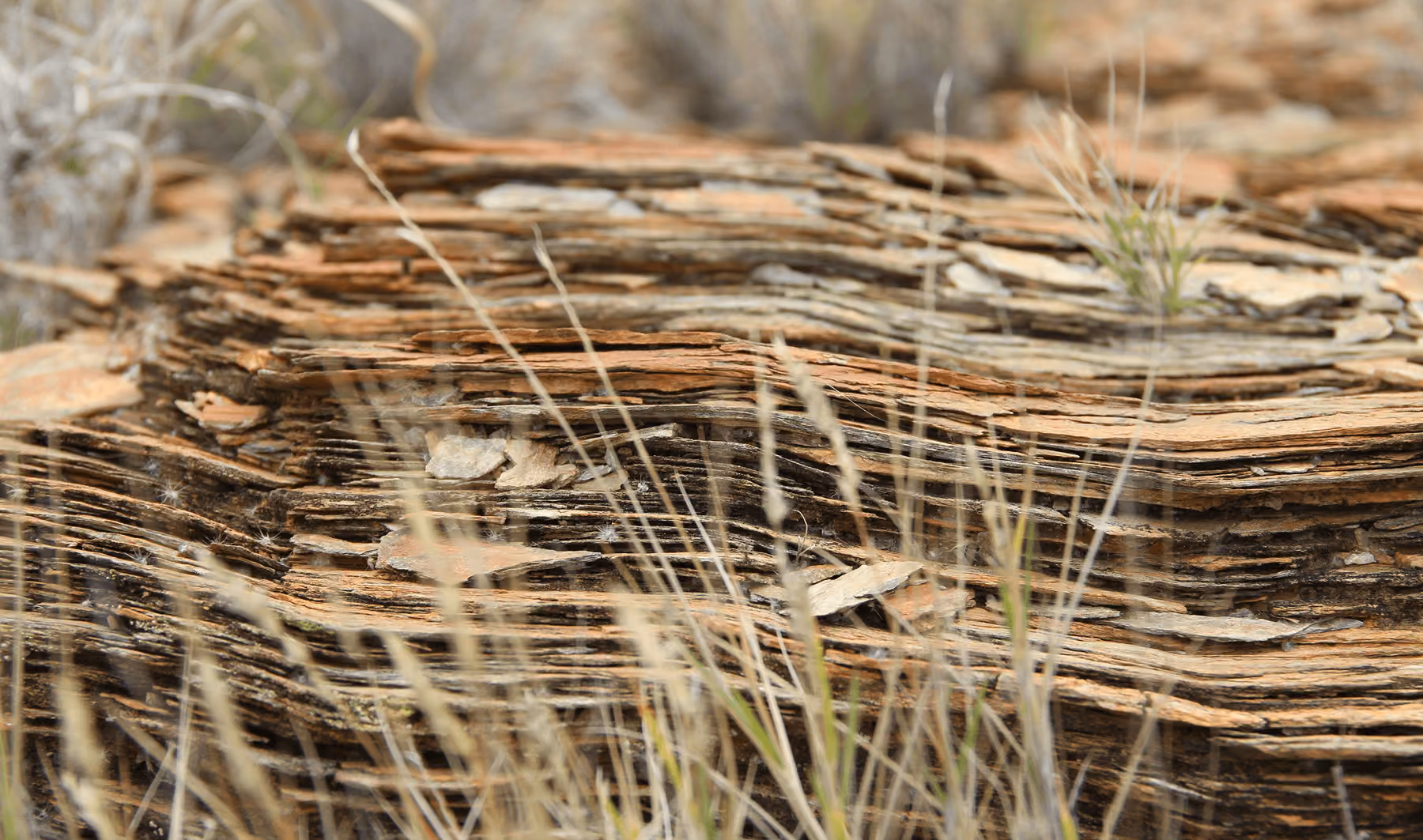 rocky edge with grass