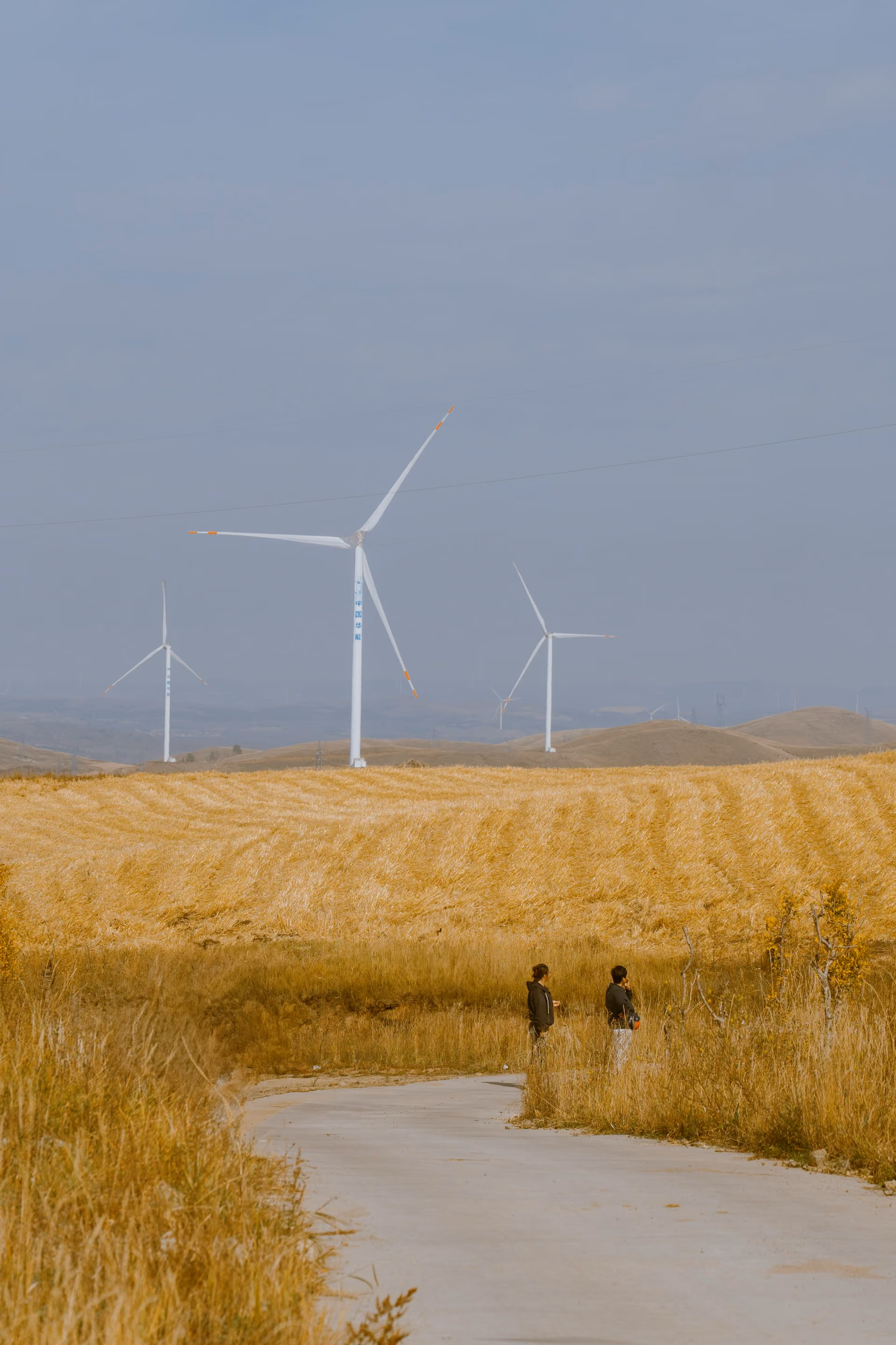 windfarm