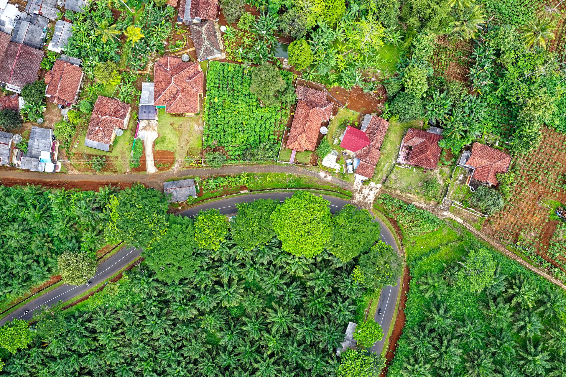 aerial shot of community