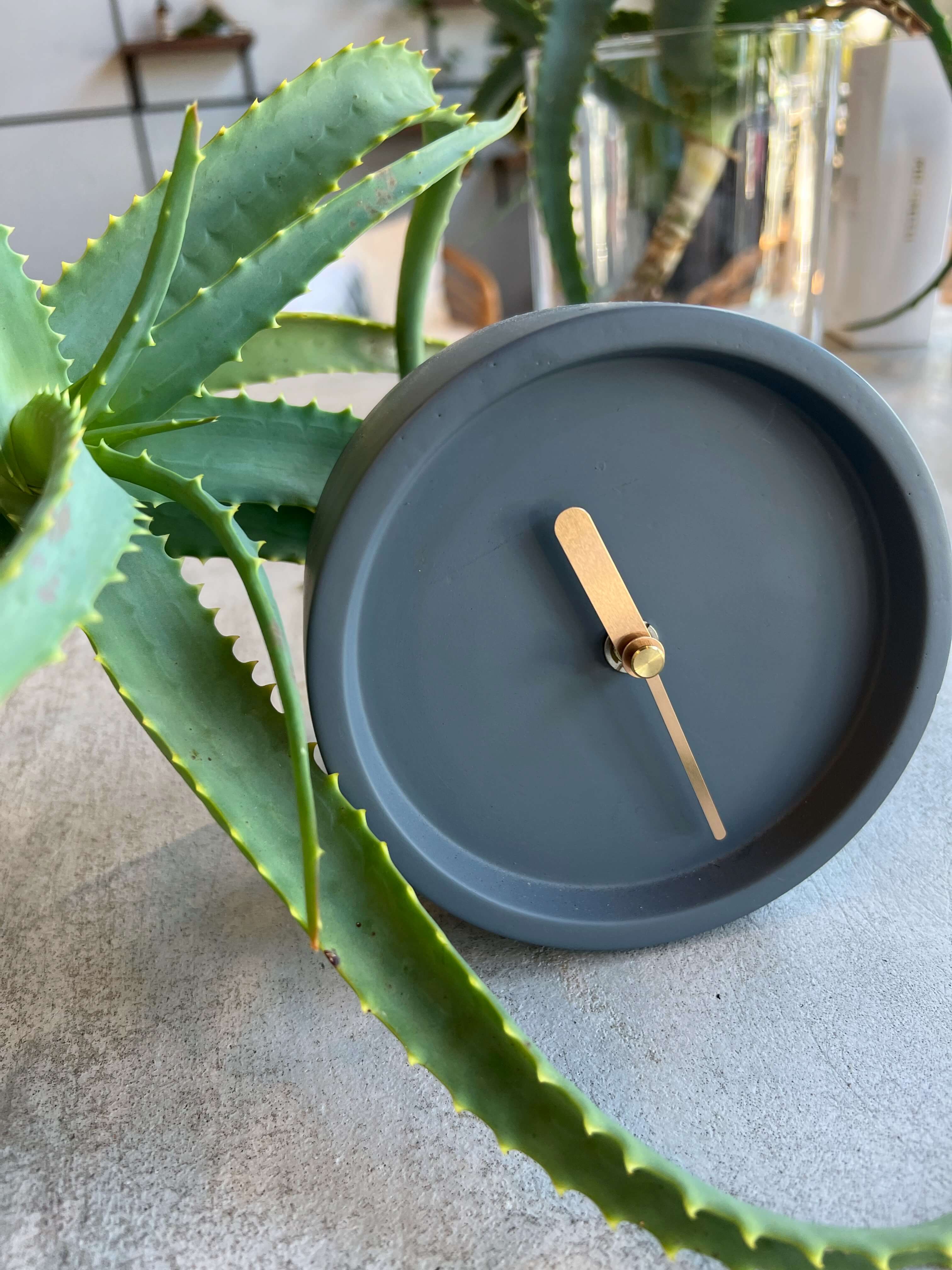 Clock and plant