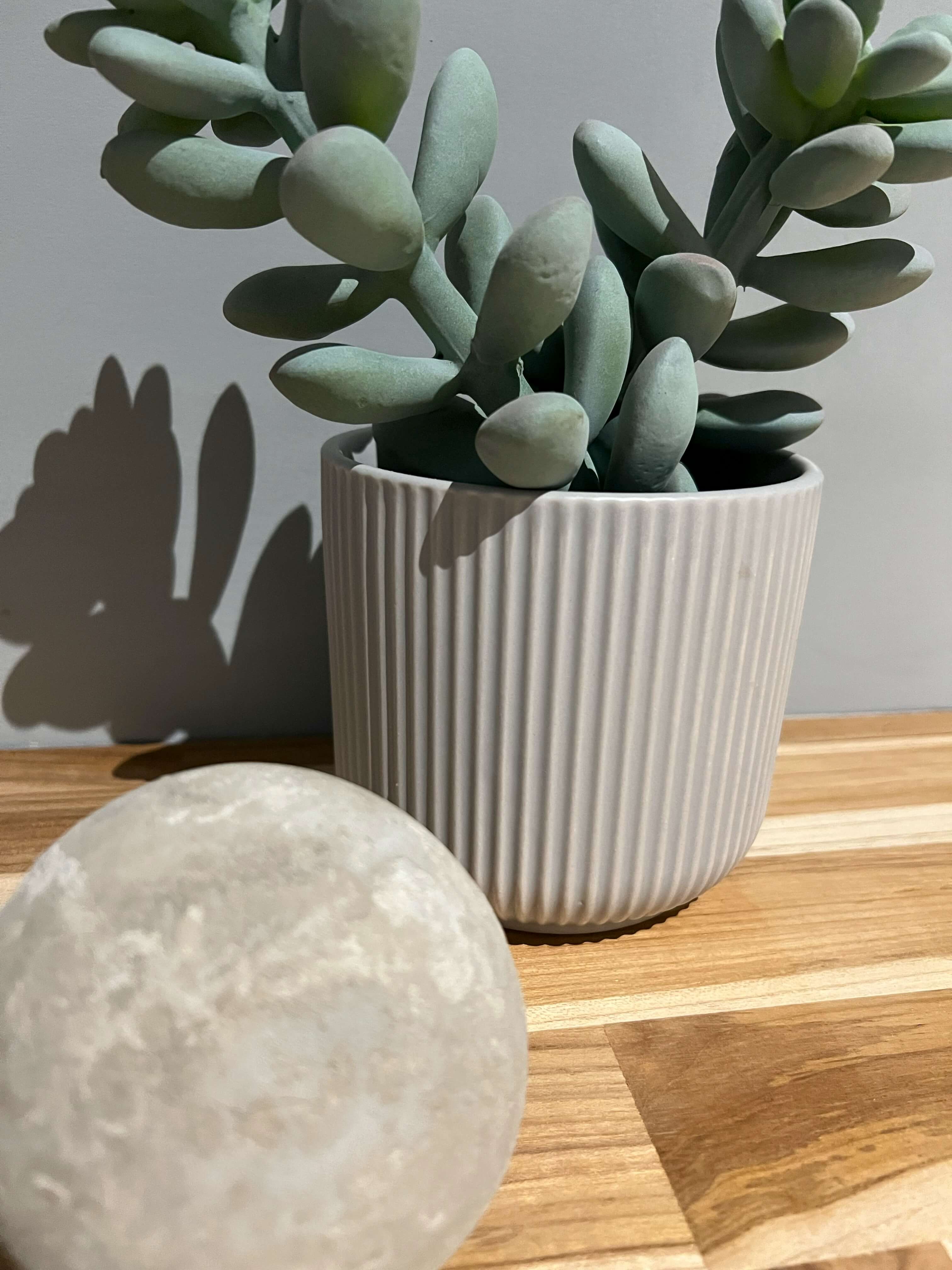 Stone and plant