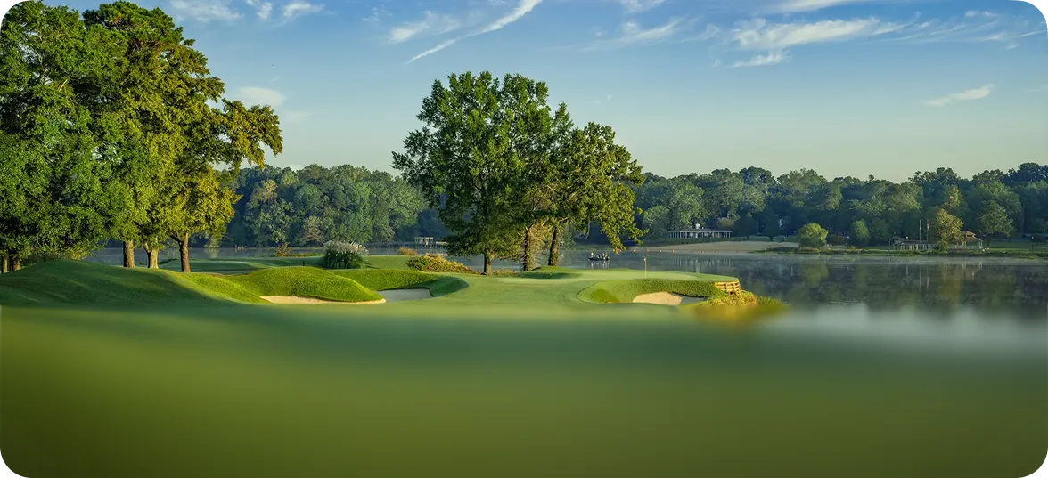 iXi - golf course background