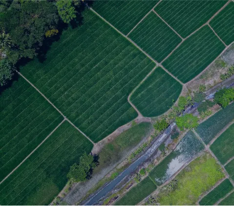 fields-from-drone