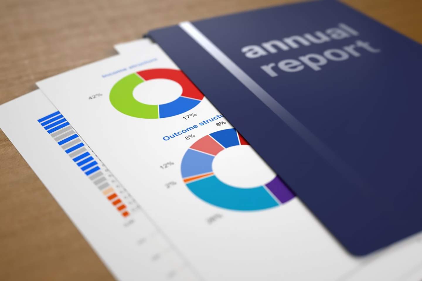 Annual Report Book