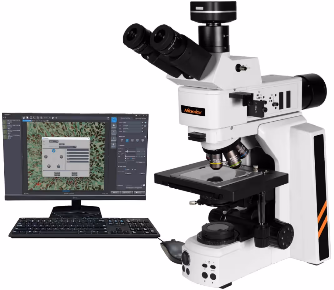 iMetal-630B/BD Upright Metallographic Microscope