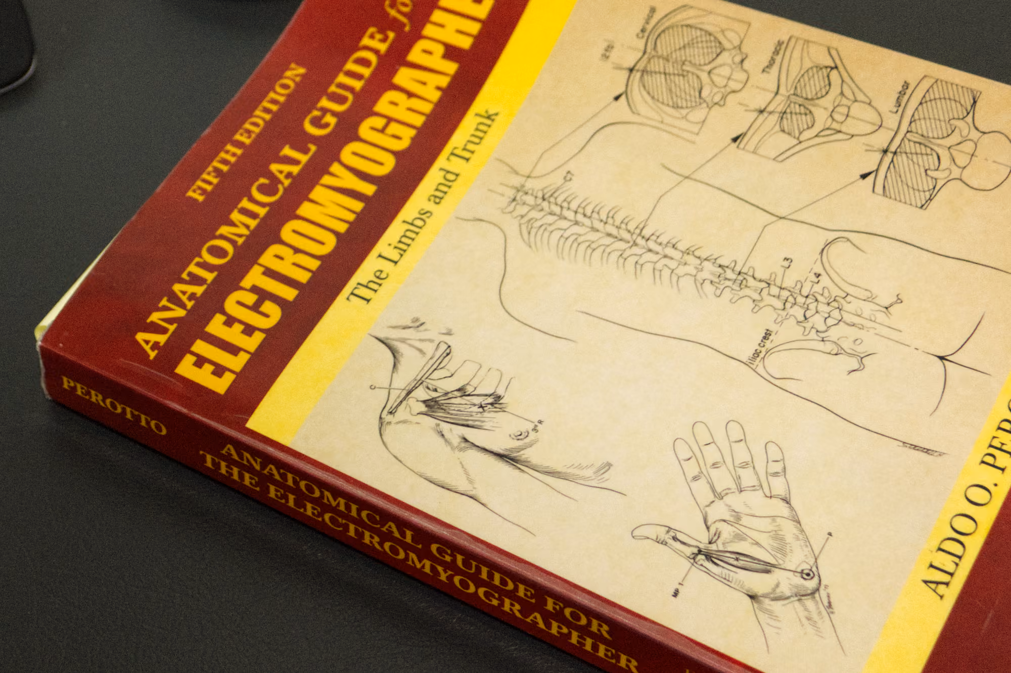 Cover of Anatomical Guide for Electromyographer book showing spine, shoulder, and hand anatomy sketches.