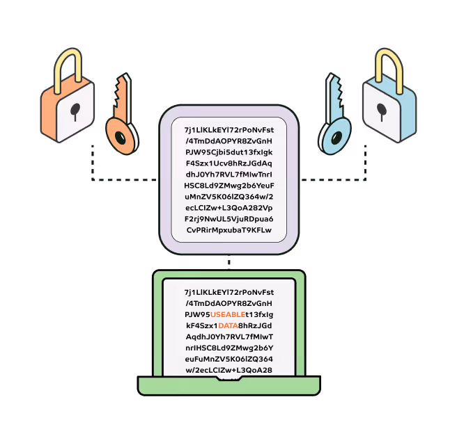 An illustration showing Vaultrees product VEDS revealing encrypted information