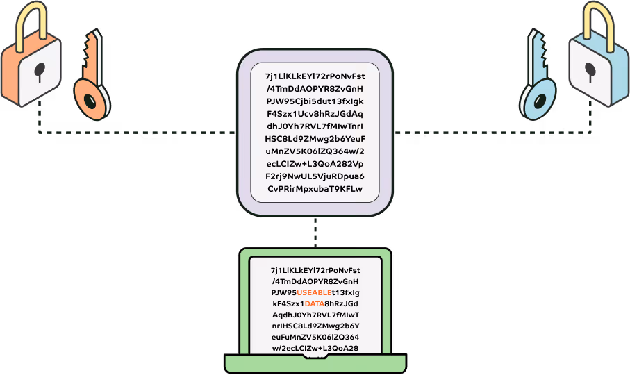 An illustration depicting Vaultrees VEDS product revealing encrypted information