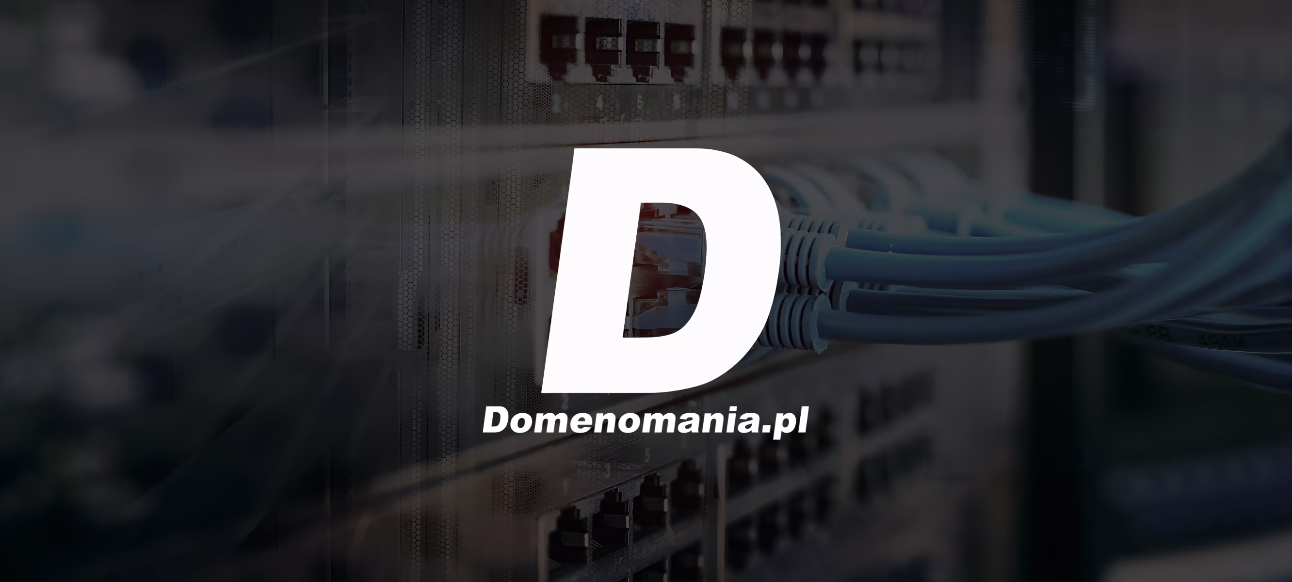 How we helped Domenomania reach CEOs of software houses and marketing agencies, generating 15 qualified leads in just 34 days