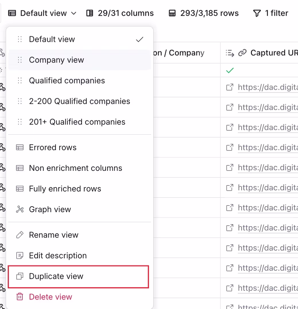 Duplicating default view.