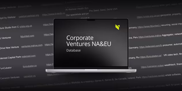 Corporate Ventures NA&EU