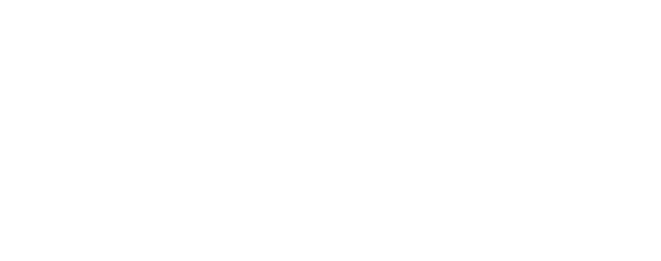 Pluro
