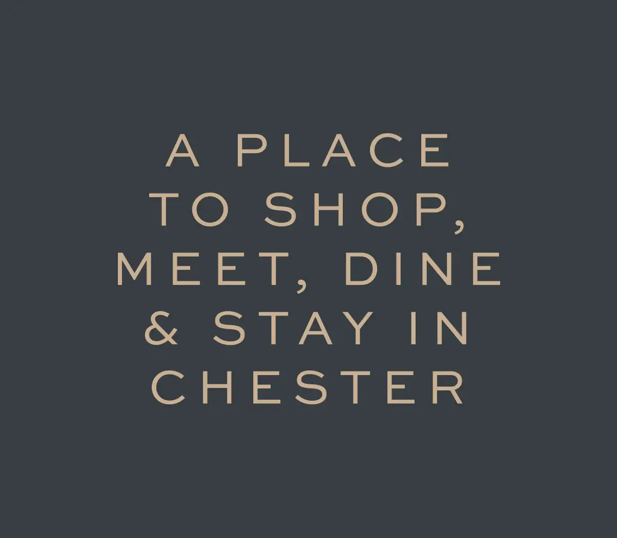 Messaging that says place to shop, meet, dine & stay in chester
