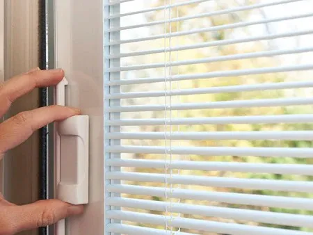 Glass options and interior blinds