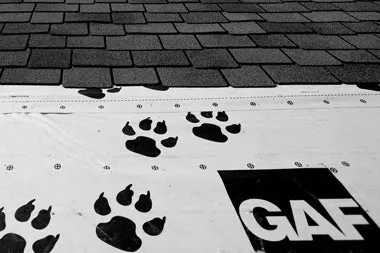 Tiger Paw underlayment