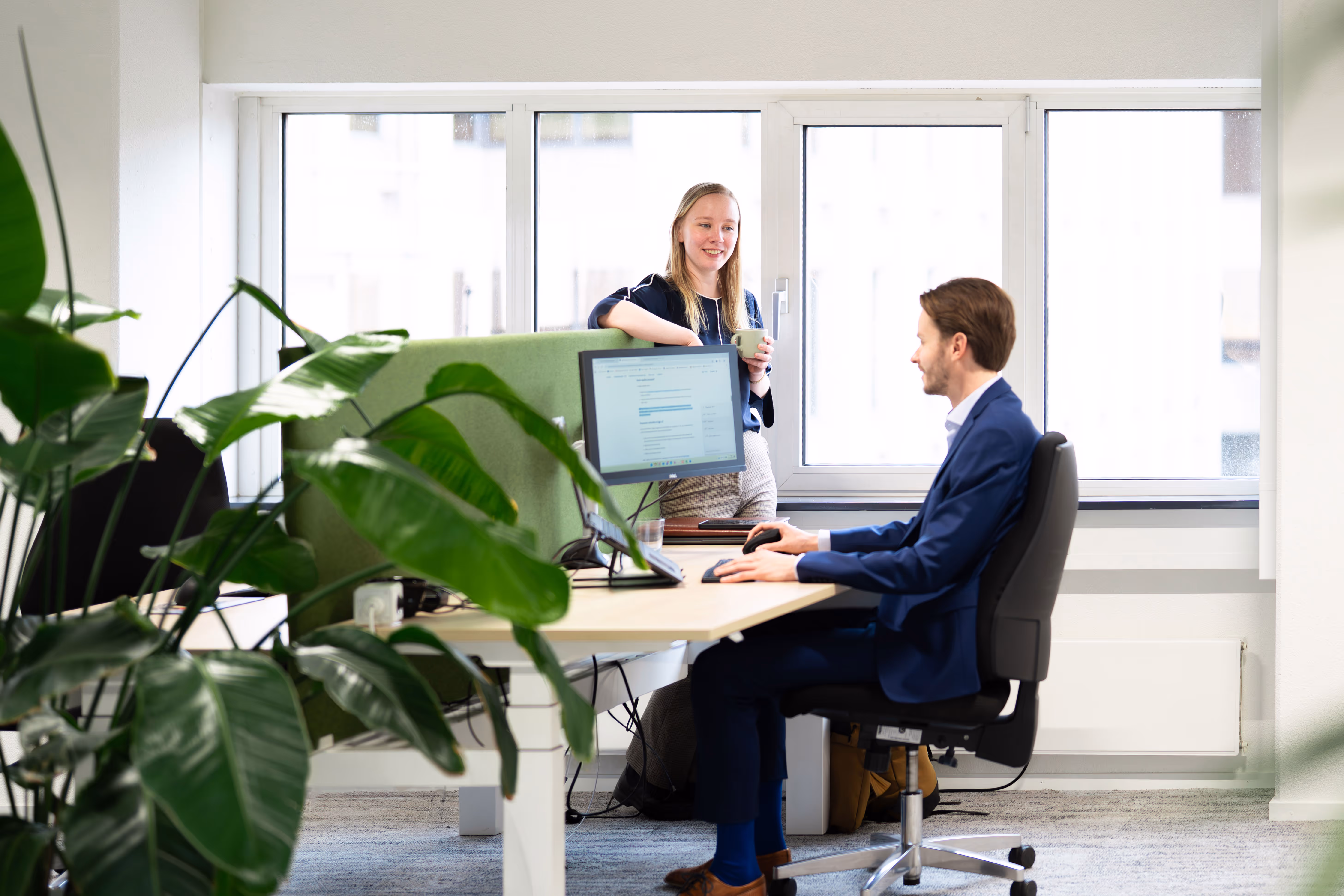Craeghs technisch subsidie consultant