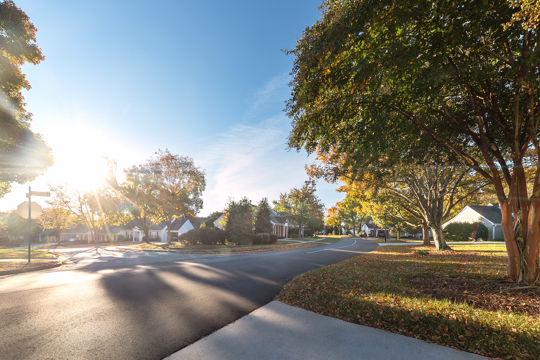 A quiet neighborhood street with bright sunlight shining through the trees.