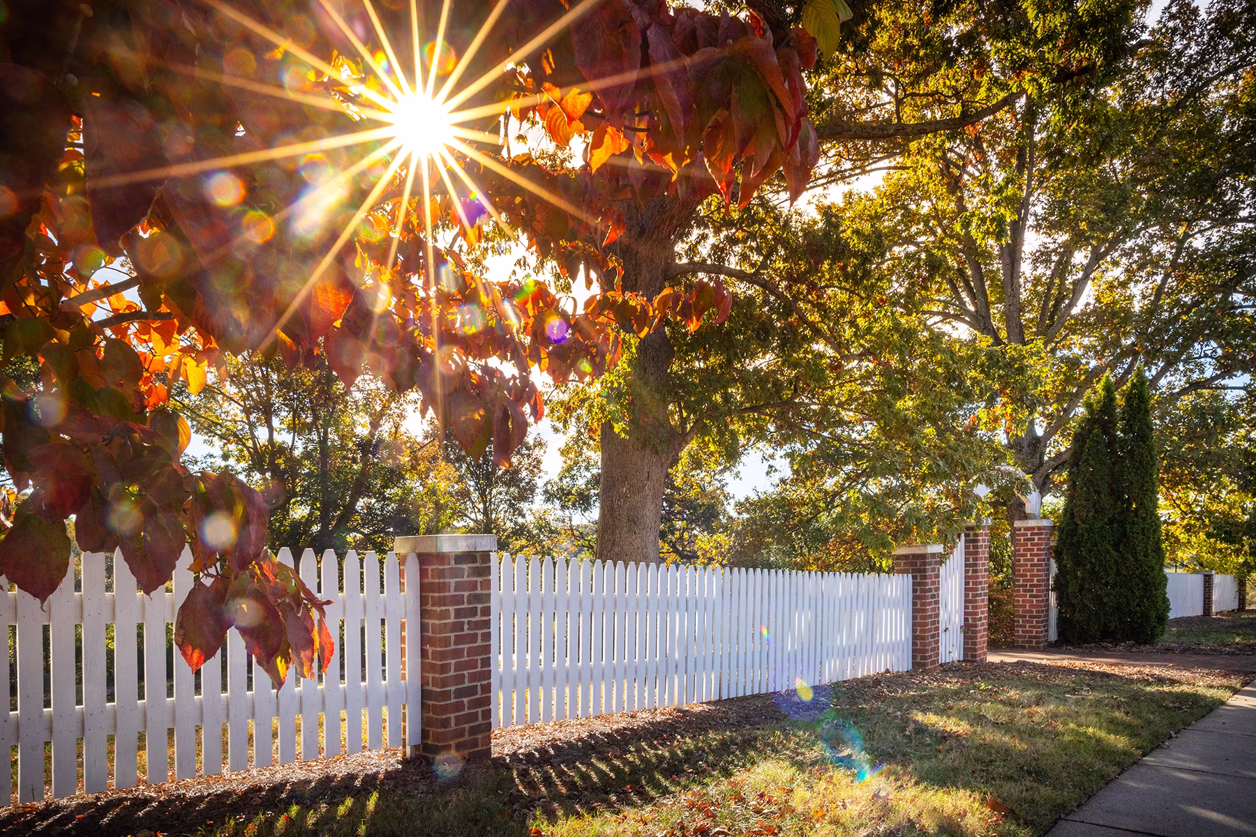 Sunlight shines through autumn leaves above a white picket fence along a sidewalk.