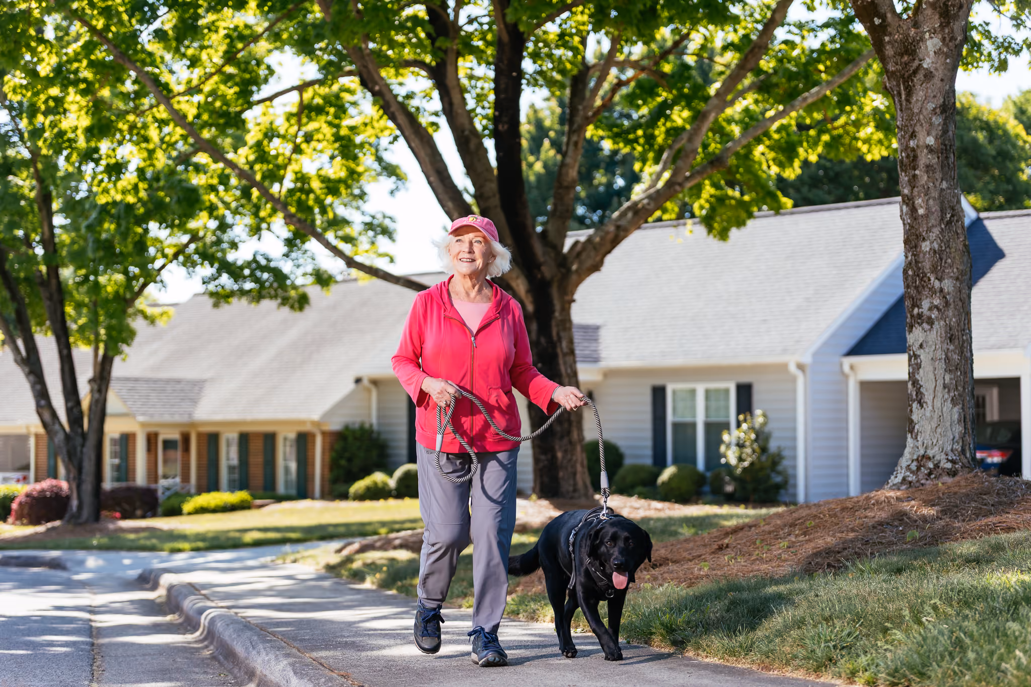 An elderly woman in red clothing walks a black dog on a suburban sidewalk.