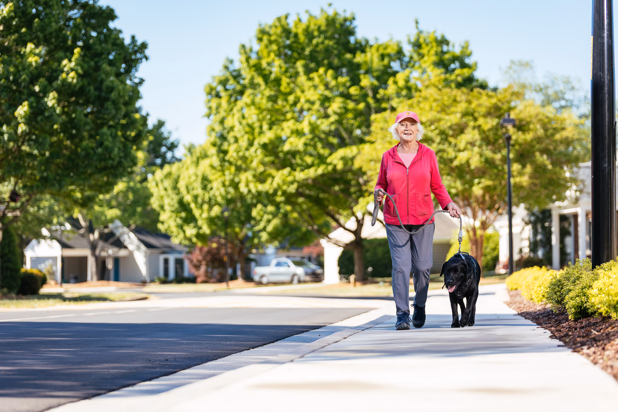 An elderly woman in a red shirt walks a black dog on a suburban sidewalk.