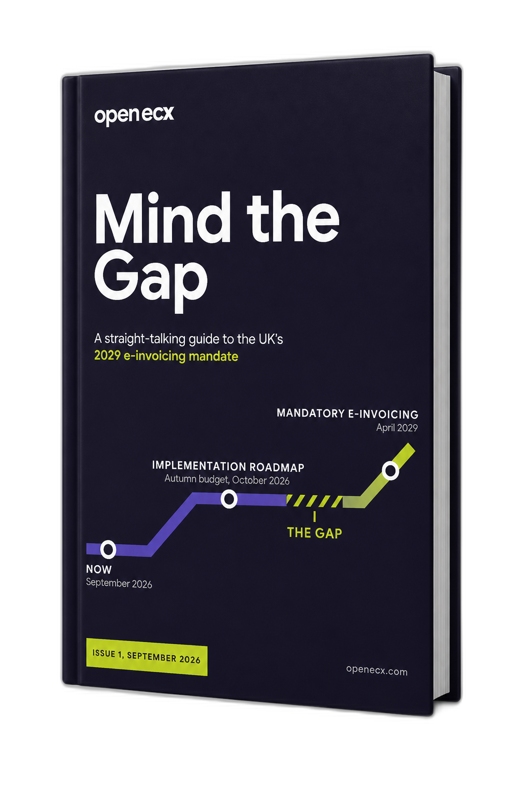2029 e-invoicing mandate full ebook preview image open ecx