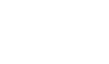 Wizzit logo