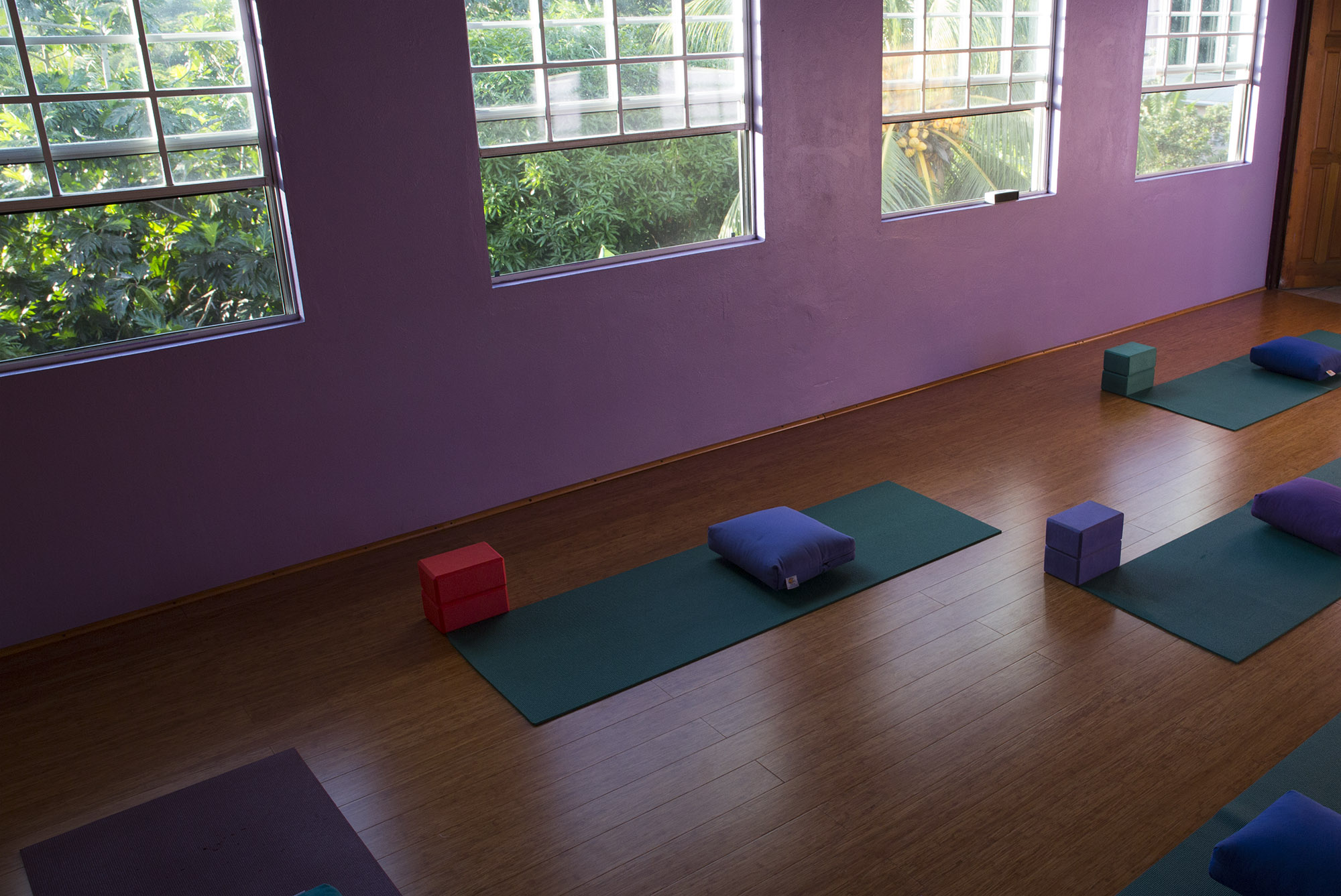 Yoga mats and studio space at Spice Harmony Yoga in Grenada