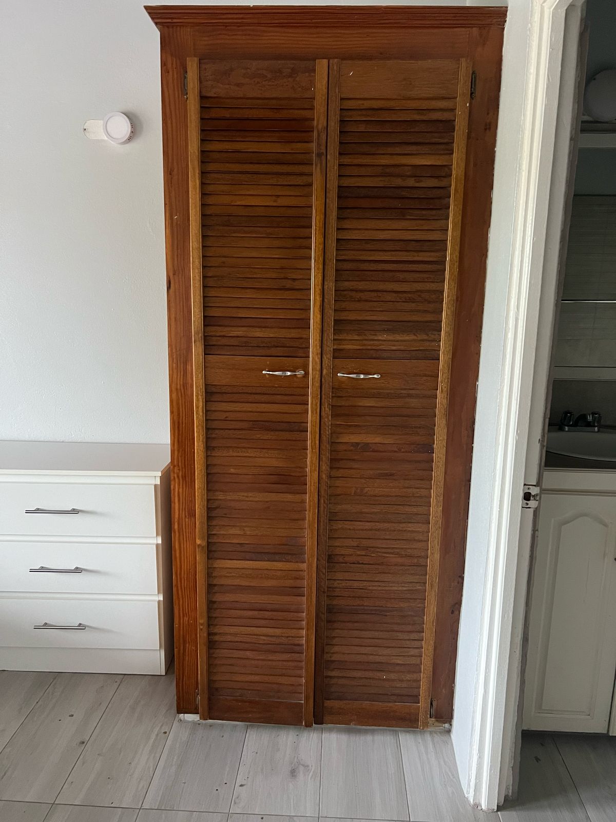 Mango Grove Residence storage and closet space