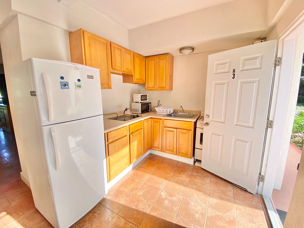 Clove Garden Residence large studio kitchen