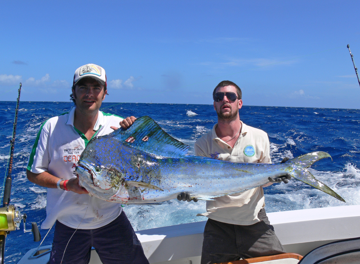 Mahi-mahi catch from Yes Aye sportfishing in Grenada