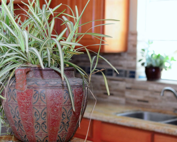 Sargasso Apartments kitchen detail