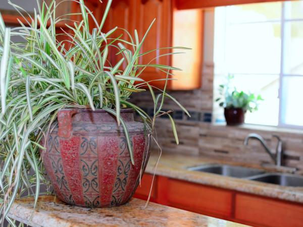 Sargasso Apartments kitchen and interior detail