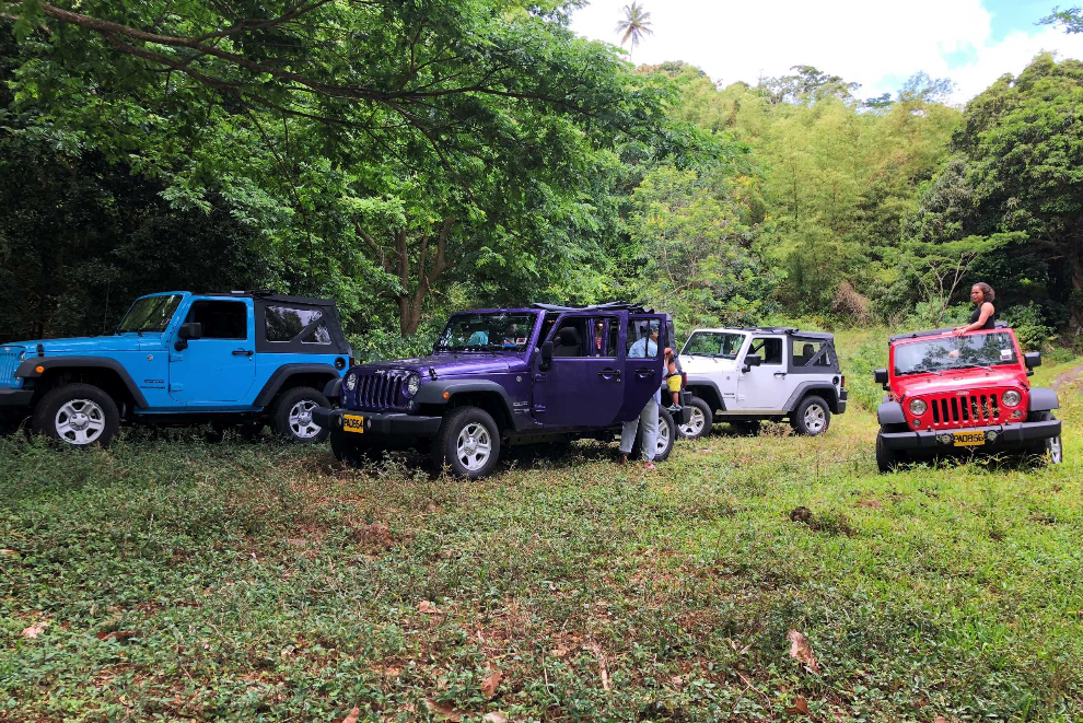 Bareback Jeep Waterfall Adventure photo 3