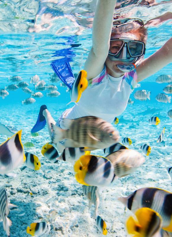 Snorkeling in Grenada with Shadowfax