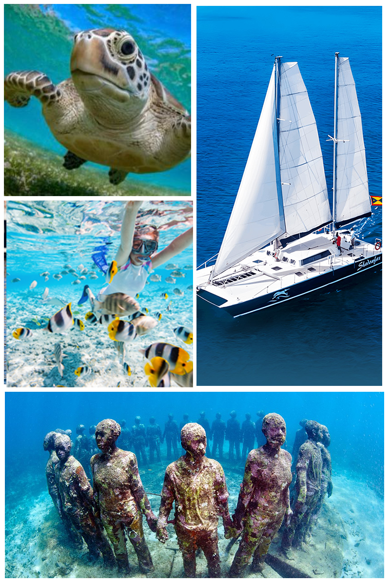 Shadowfax snorkeling at Grenada Underwater Sculpture Park