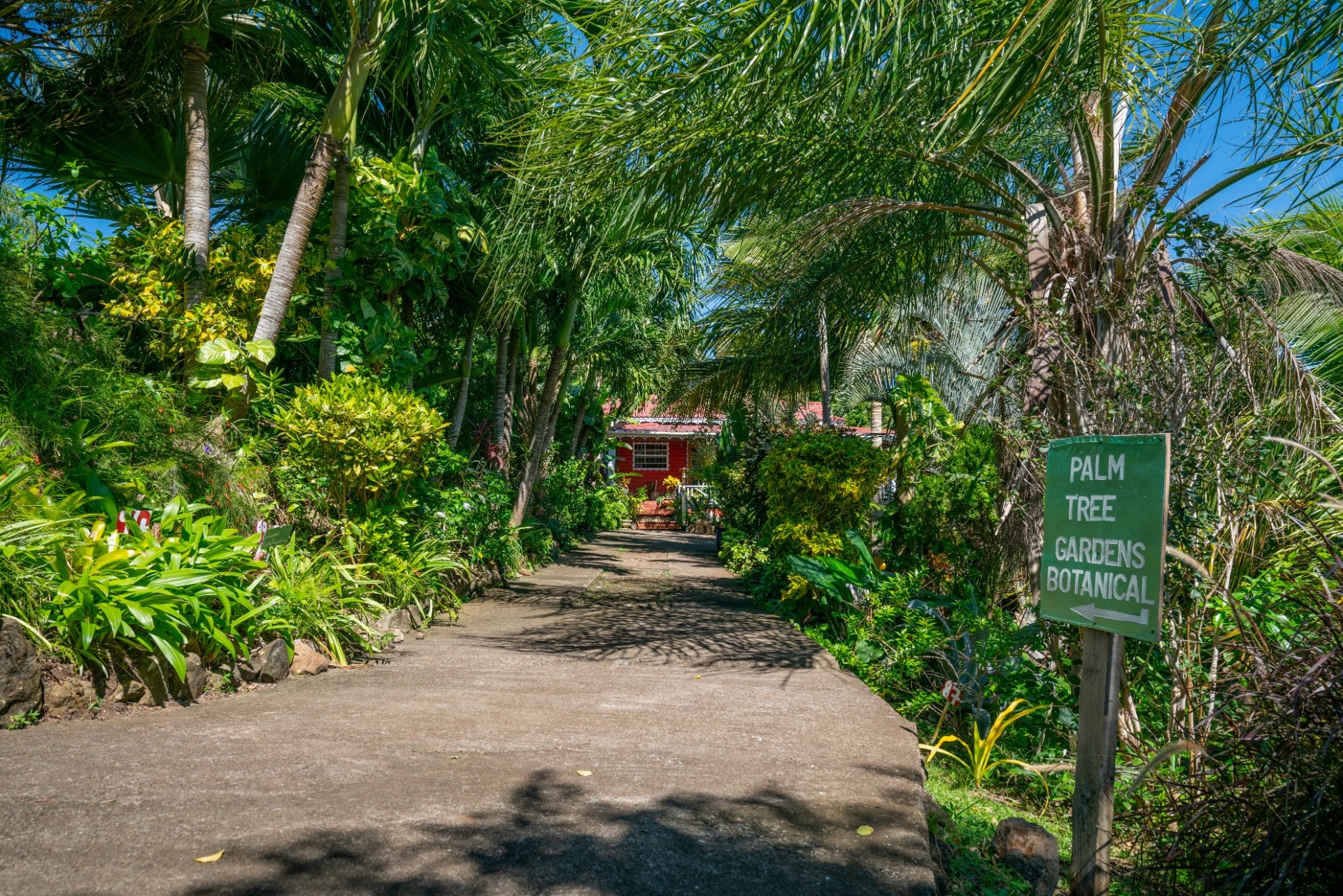 Palm Tree Gardens botanical garden in Grenada