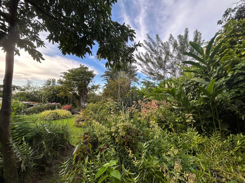 Smithy's Garden in Grenada