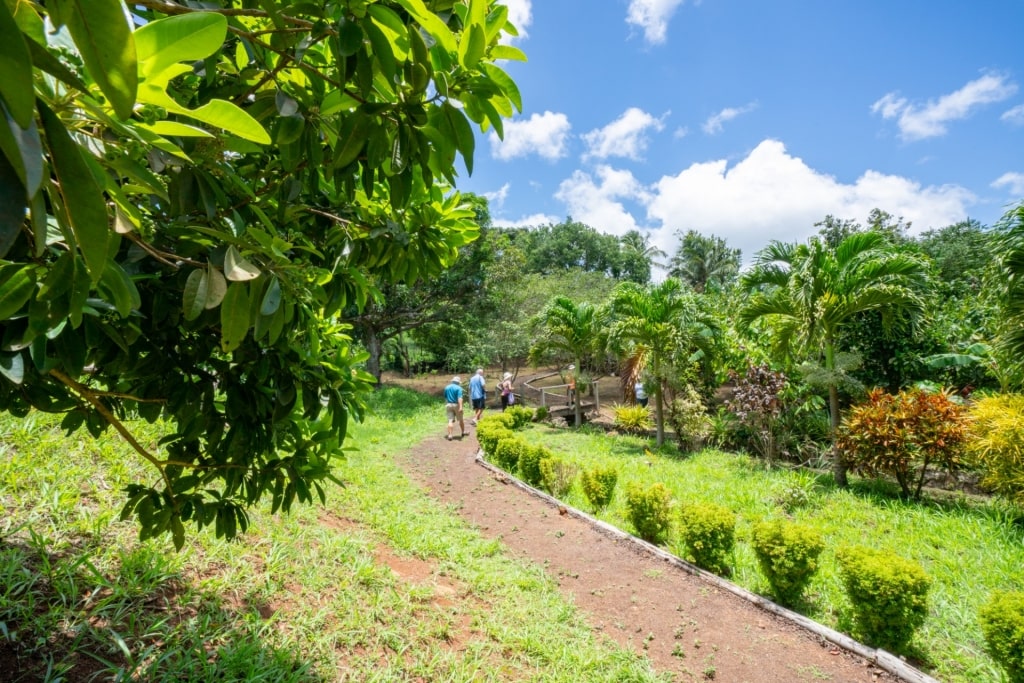 Tropical spice garden visit in Grenada