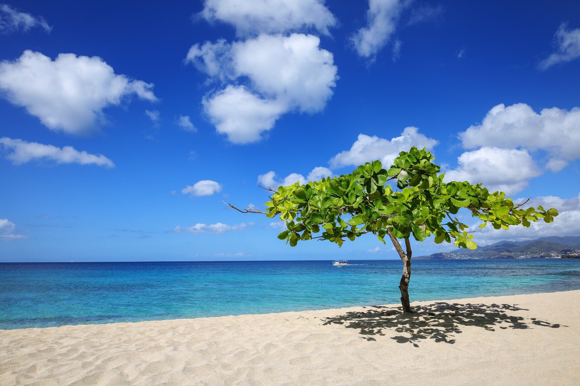 Grenada beach and Caribbean Sea