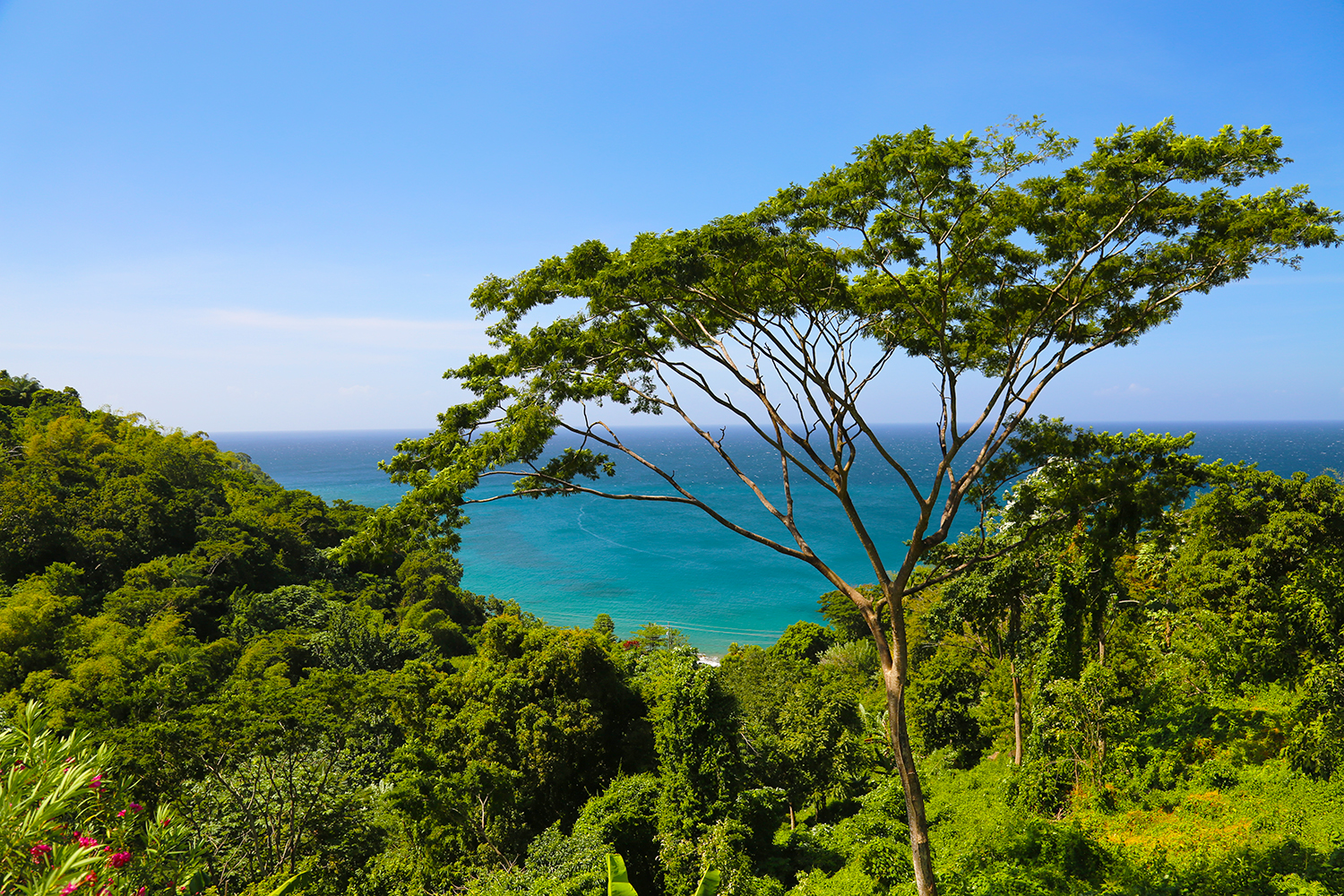 Caribbean Sea view from Mount Edgecombe