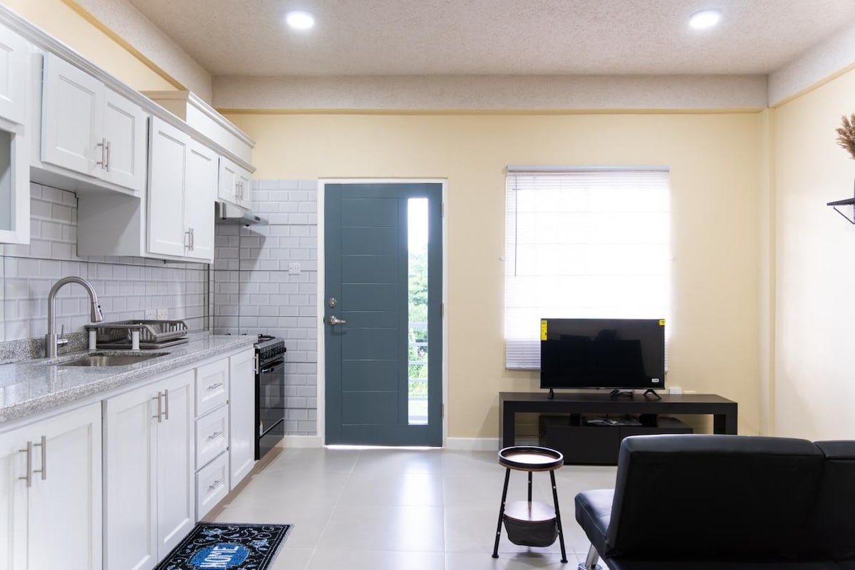 Sapodilla Court Studio fitted kitchen