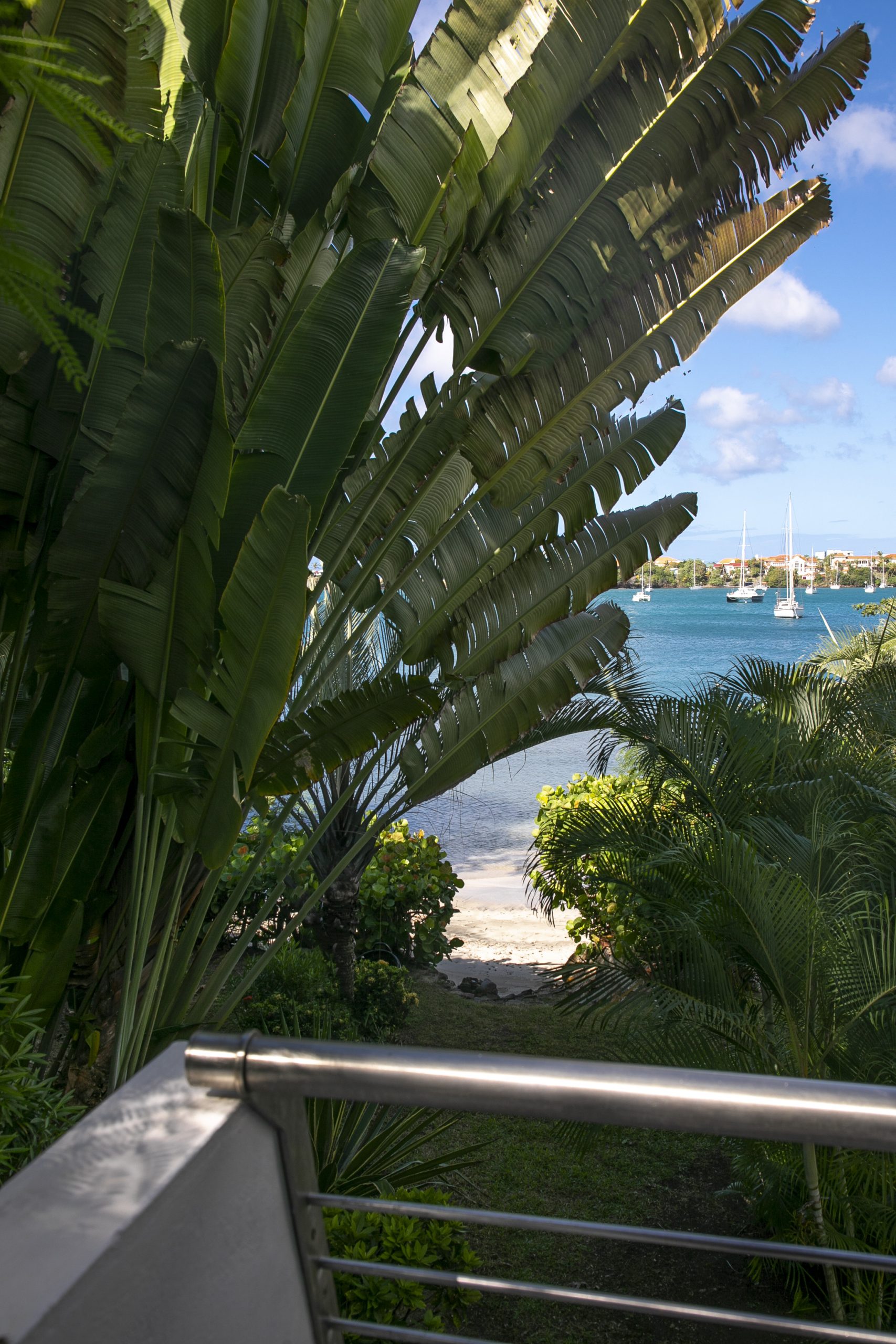 Prickly Bay Waterside – Waterside 02 official photograph 7