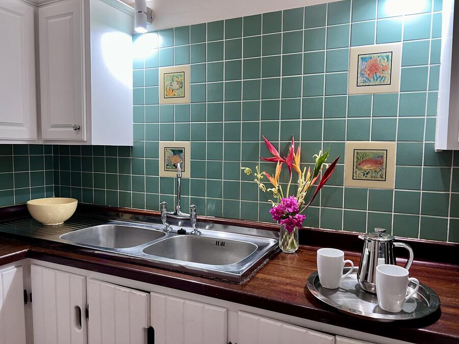 Spice of Life - Kitchen sink and counter