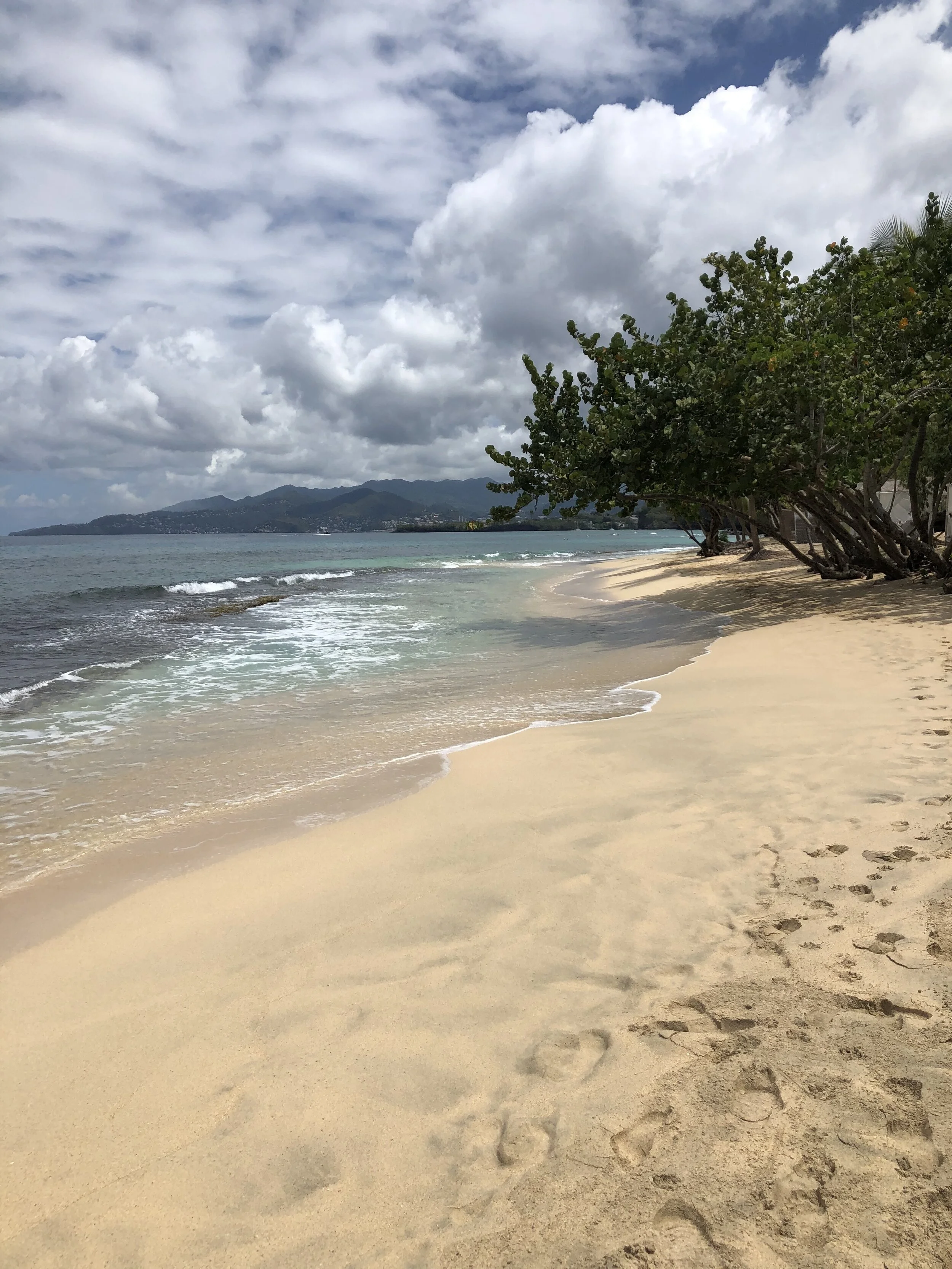 The Tamarind House - Magazine Beach