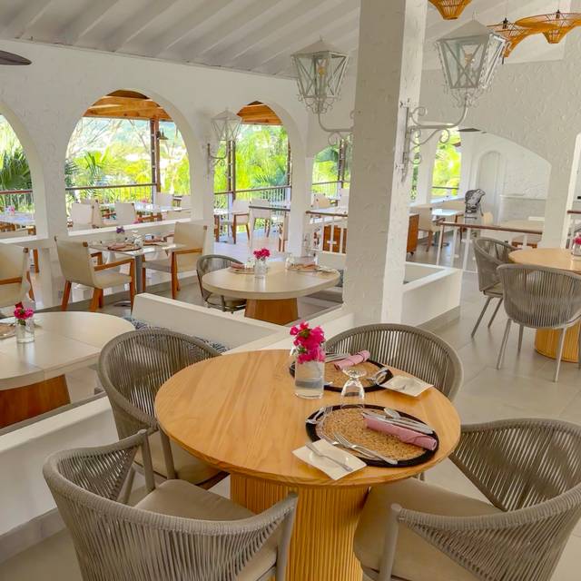 The Flying Fish at Mount Cinnamon
