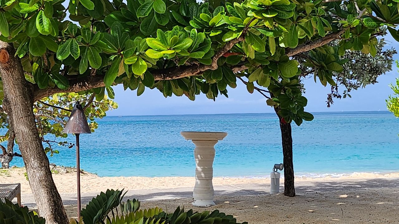 Sea and Surf Terrace & Bar at Spice Island Beach Resort photograph 9