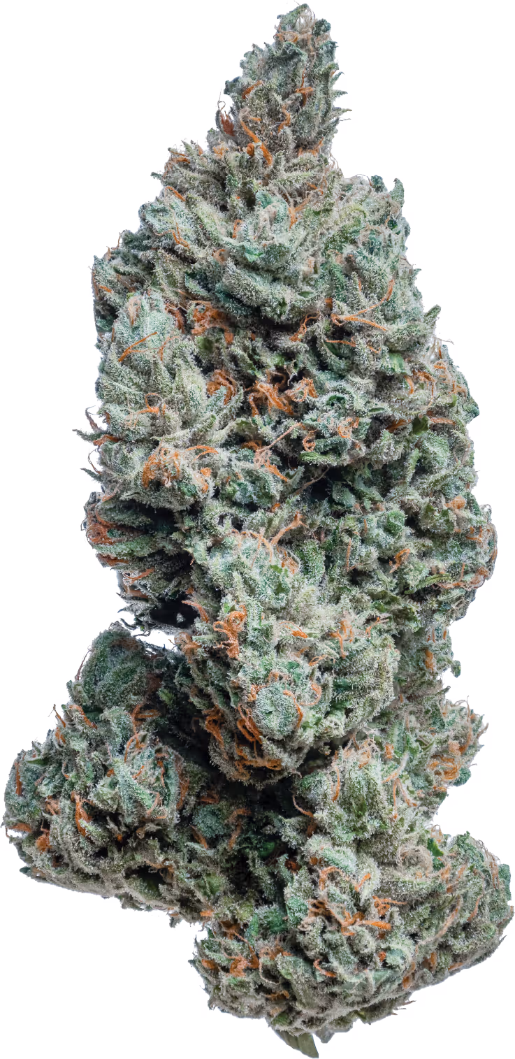 Jack Blue Dream