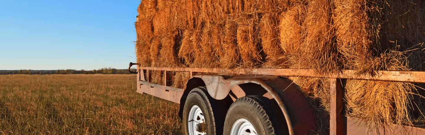 Trailer loaded with stacked hay bales on a field under a clear blue sky.