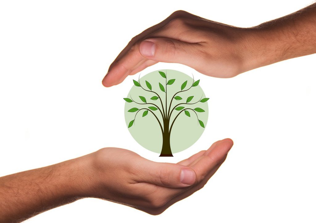 Eco Friendly Dental Practices